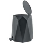 ΠΕΤΑΛ ΣΕΤ ΜΕ ΠΙΓΚΑΛ POLYGON 5LT - Image 7
